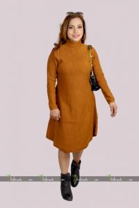 model of the week